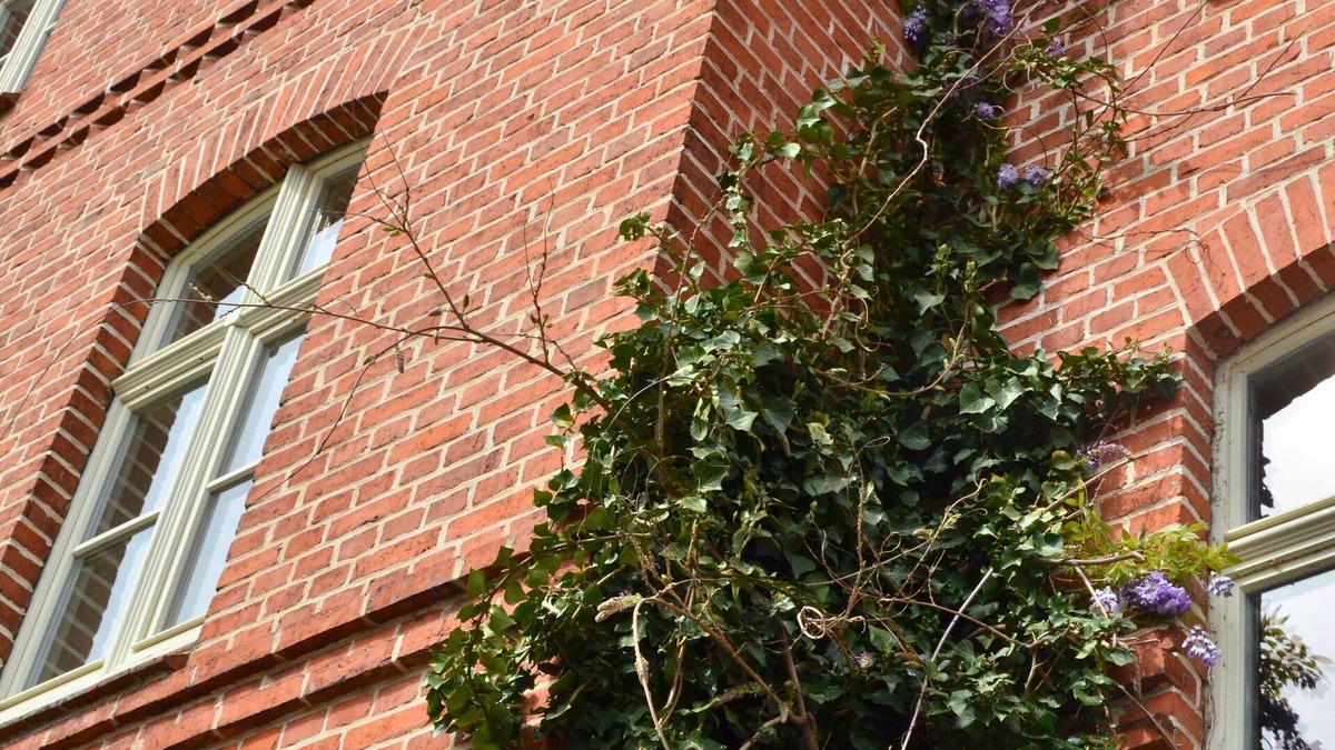 Oberhavel House | Complete guesthouse on the Finow Canal (former school from 1875) for 12 people