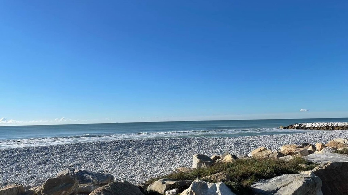 Marina di Pisa Apartment | Completely renovated apartment, new furniture, 100 meters from the sea