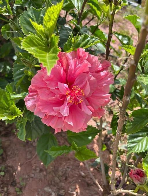 Issen Villa | Compte non disponible