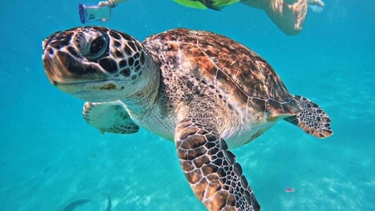 Tankah Condo | Condo in Gated Resort Community Grand Sirenis Riviera Maya.