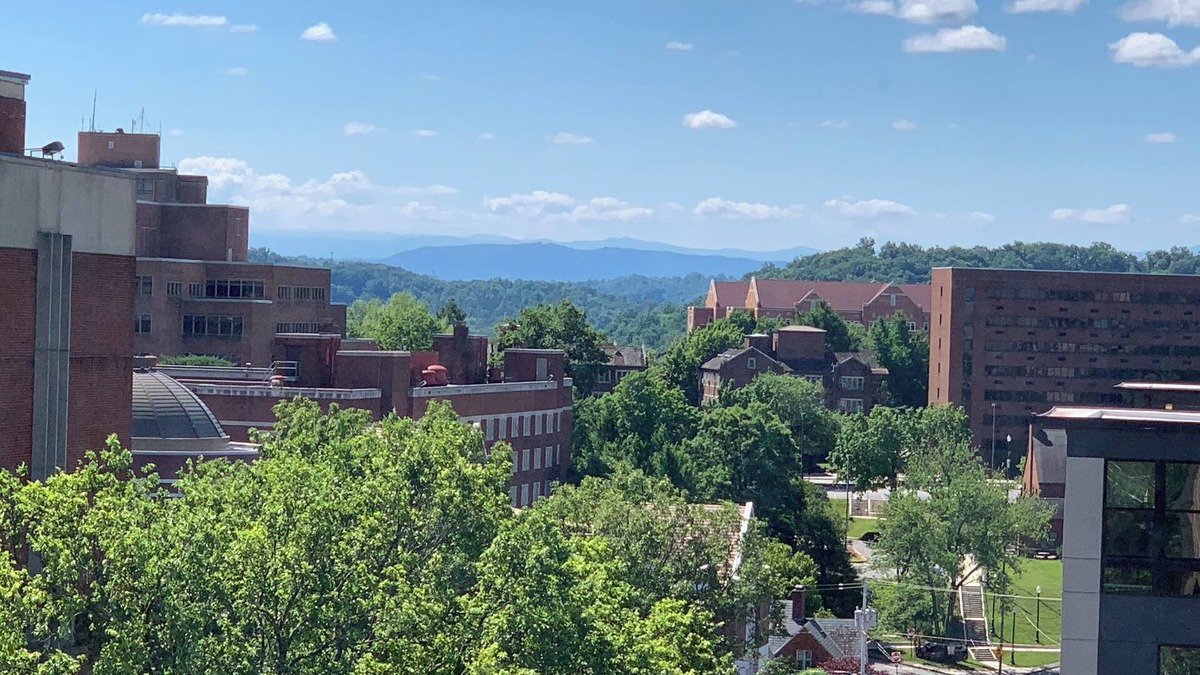 Fort Sanders Condo | Condo, Walk To Stadium And Free Parking!