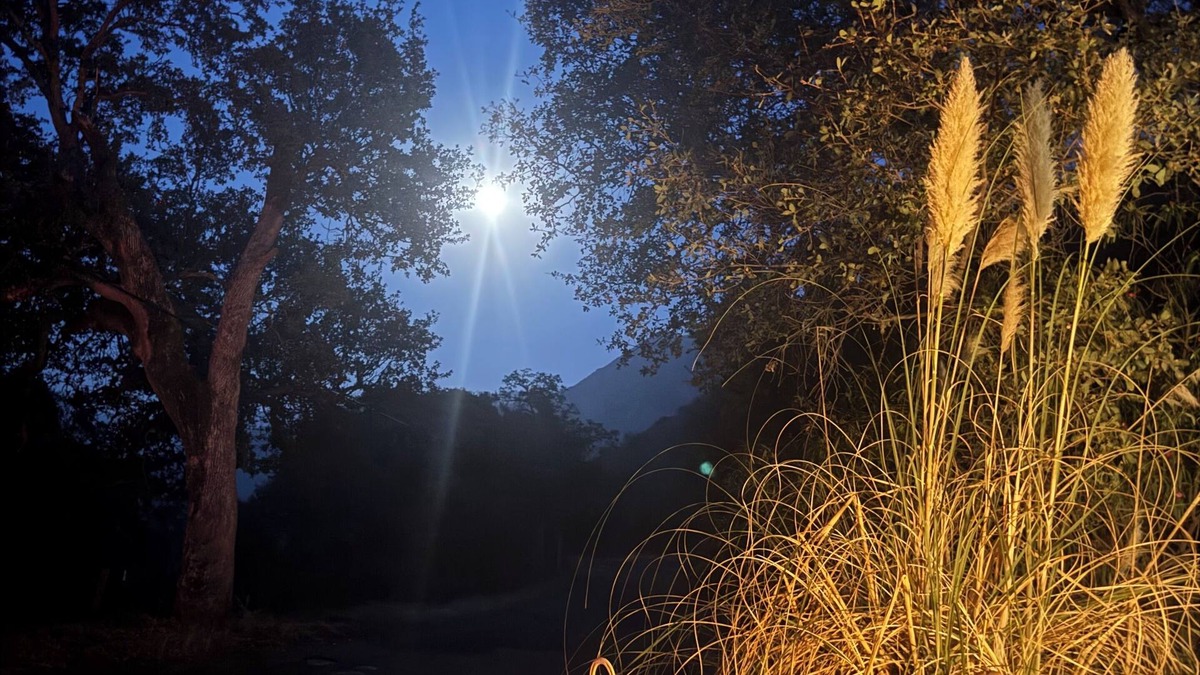 Three Rivers Cabin | Contemporarycabin inthe wilderness ofSequoiaNP Great stargazing.Pets Kiddos Free