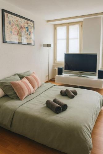 Fribourg Apartment | Cooles Apartment an der Kathedrale
