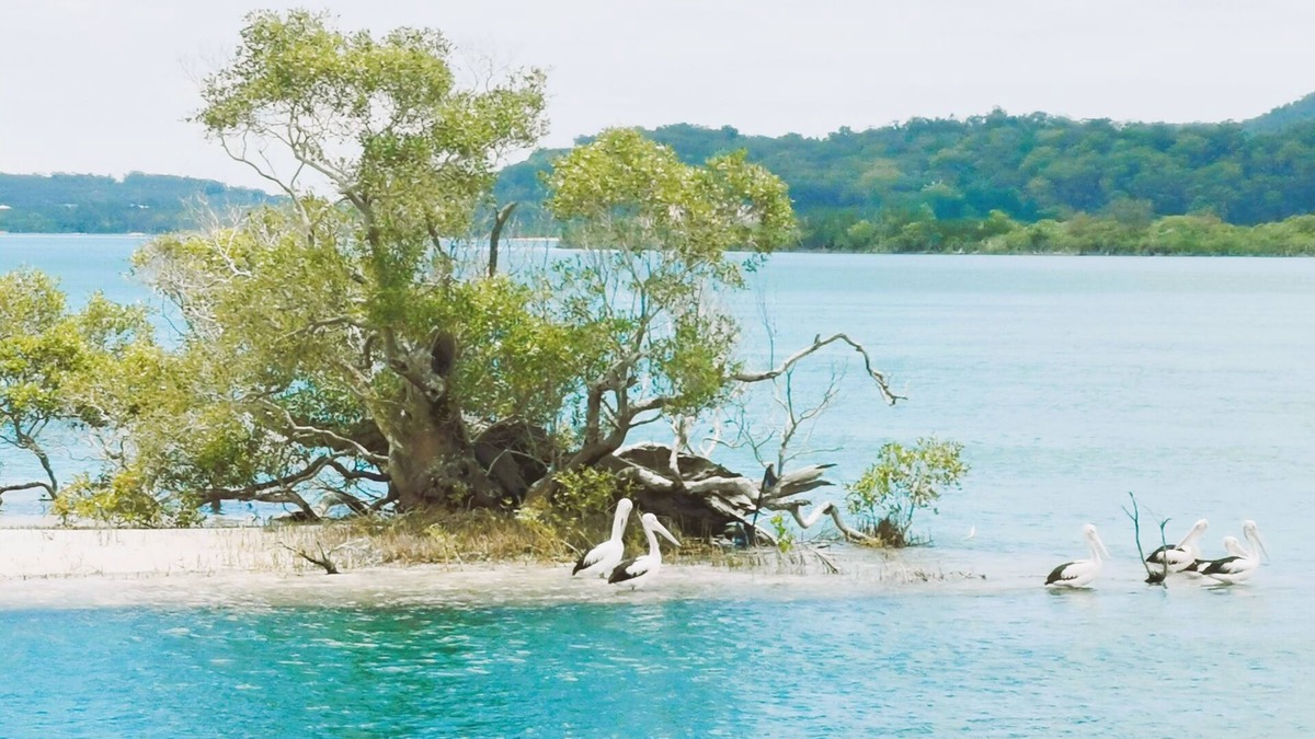 Coomera Boat Rental | Coomera Houseboat Holidays