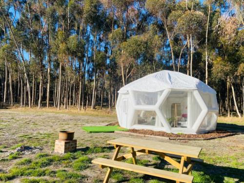 Comaum Other | Coonawarra Hampton Bubble 5