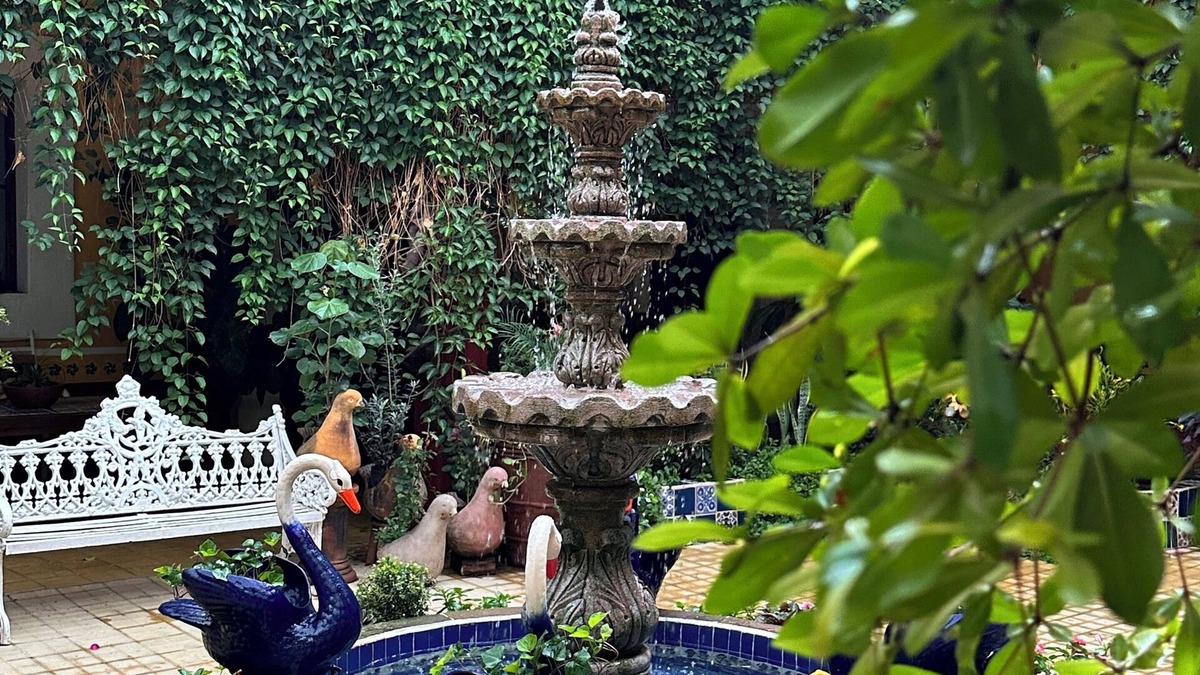 Mascota Hotel | Copa de Oro Hotel Boutique