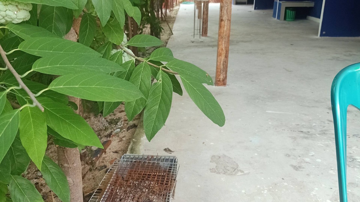 Sattahip Resort | copter hour