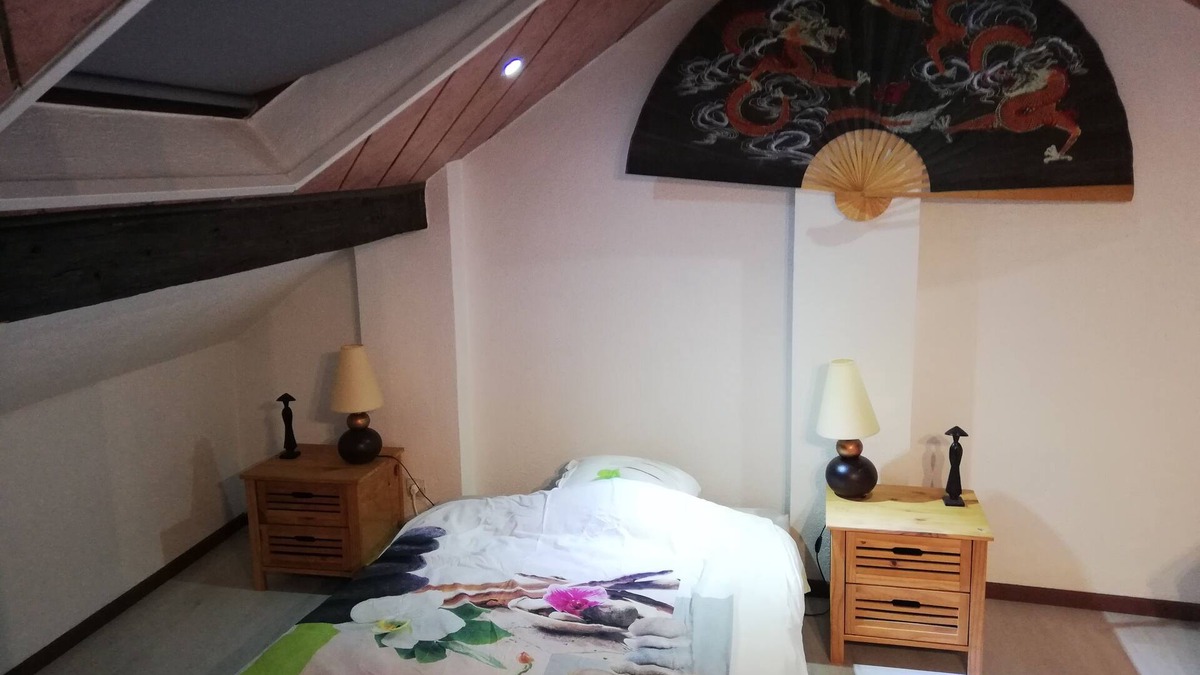 Mulhouse Apartment | Coquettish accommodation