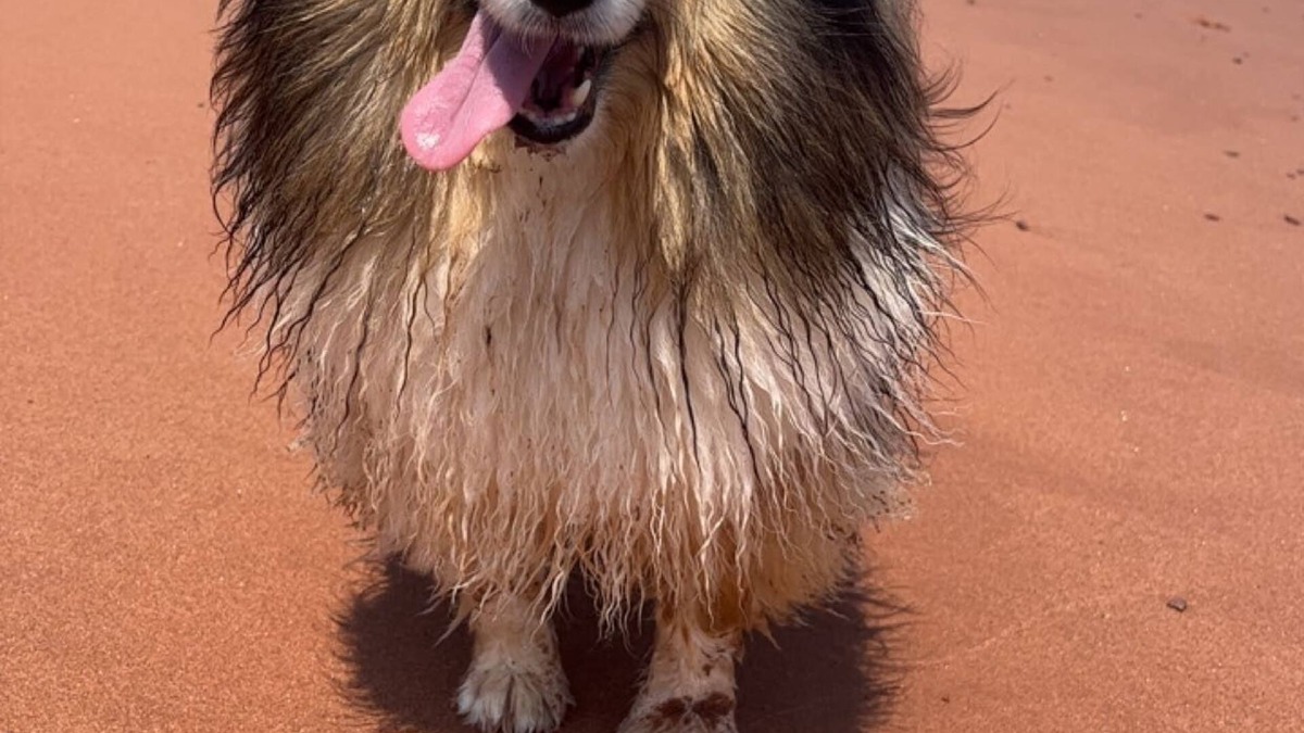 Prince County Cottage | Cora's ocean air Cottage