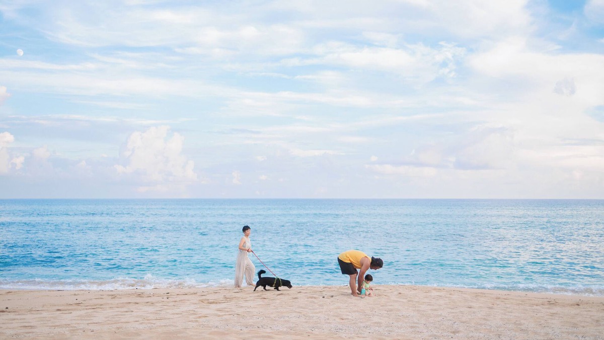 Amami Hotel | Coral Palms