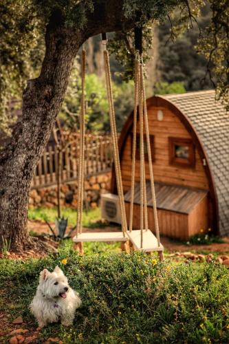 Vega de Toledo House | CORK VALLEY - Pet Friendly & Only Adults