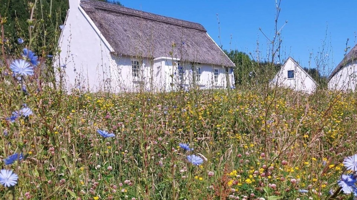 Killinaboy Cottage | Corofin Lake Cottage No 2