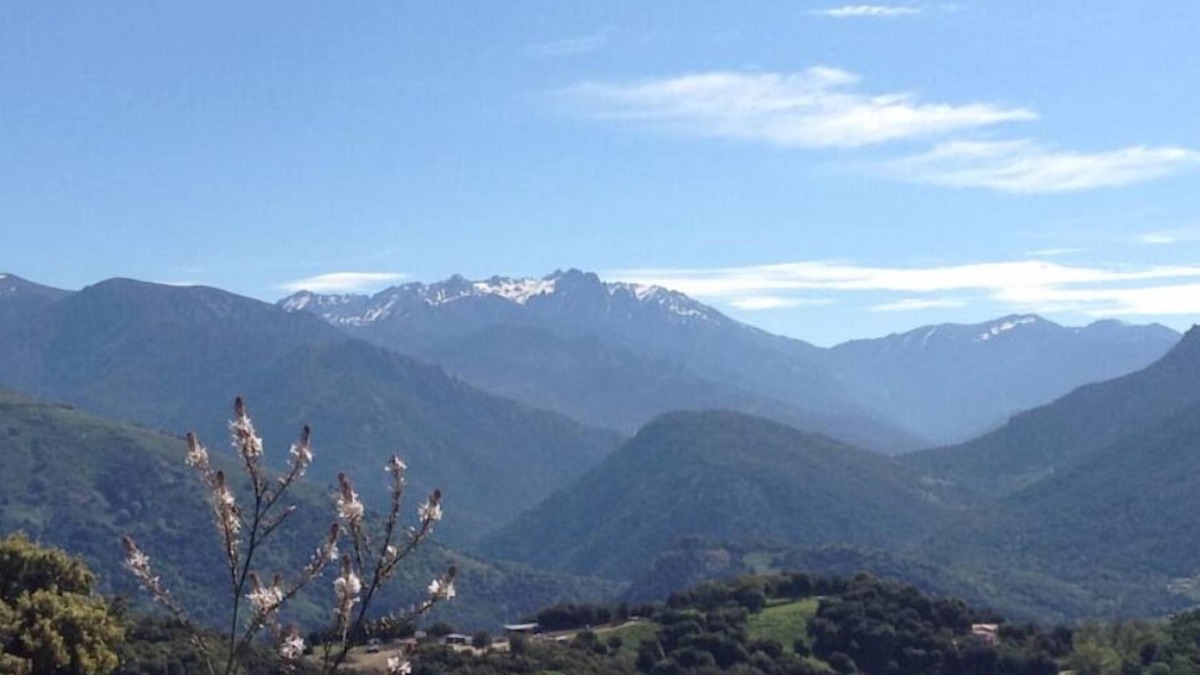 Vico Apartment | Corse du Sud Sagone vue mer et Montagne Surf