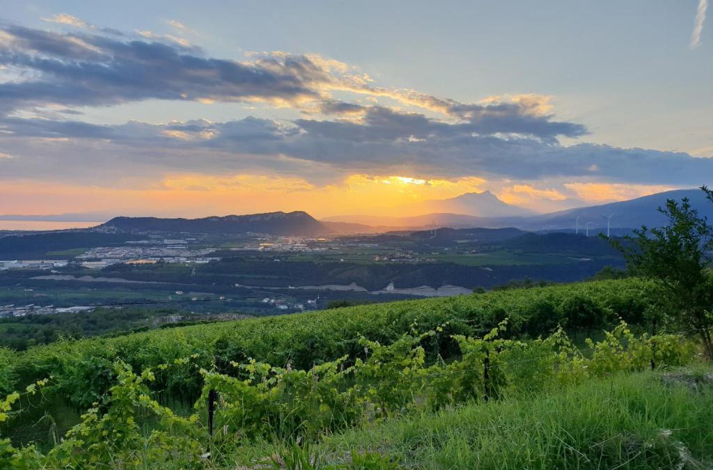 Sant'Ambrogio di Valpolicella House | "Cortela" appartameni in villetta singola