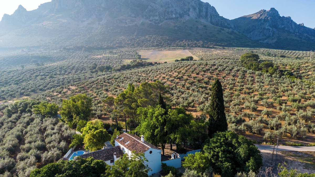 Priego de Cordoba Cottage | Cortijo Abril - Luxury Andalusian Finca for families, groups and celebrations