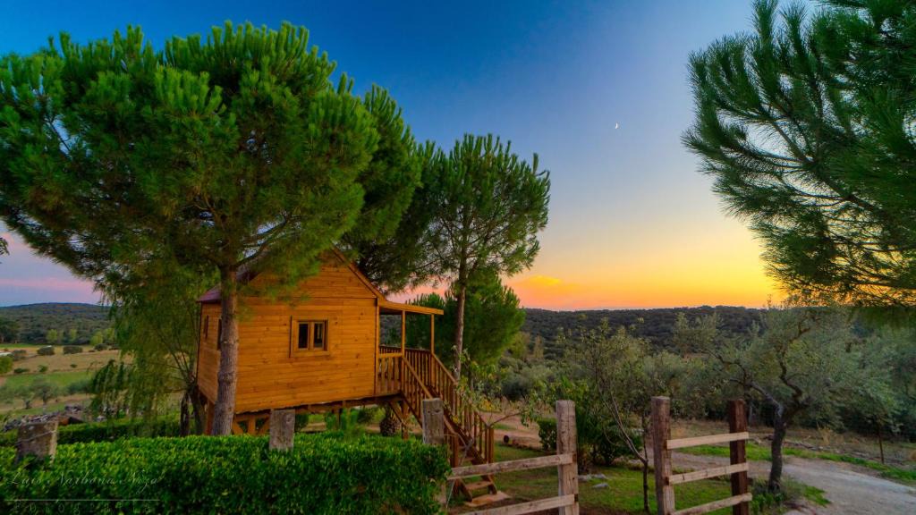 Alanis House | Cortijo señora de las Angustias 2