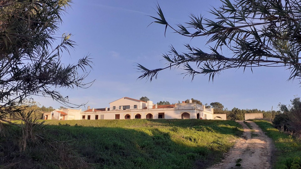 Alpiarca Apartment | Cosey Corner Apartment @Villa O Sonho