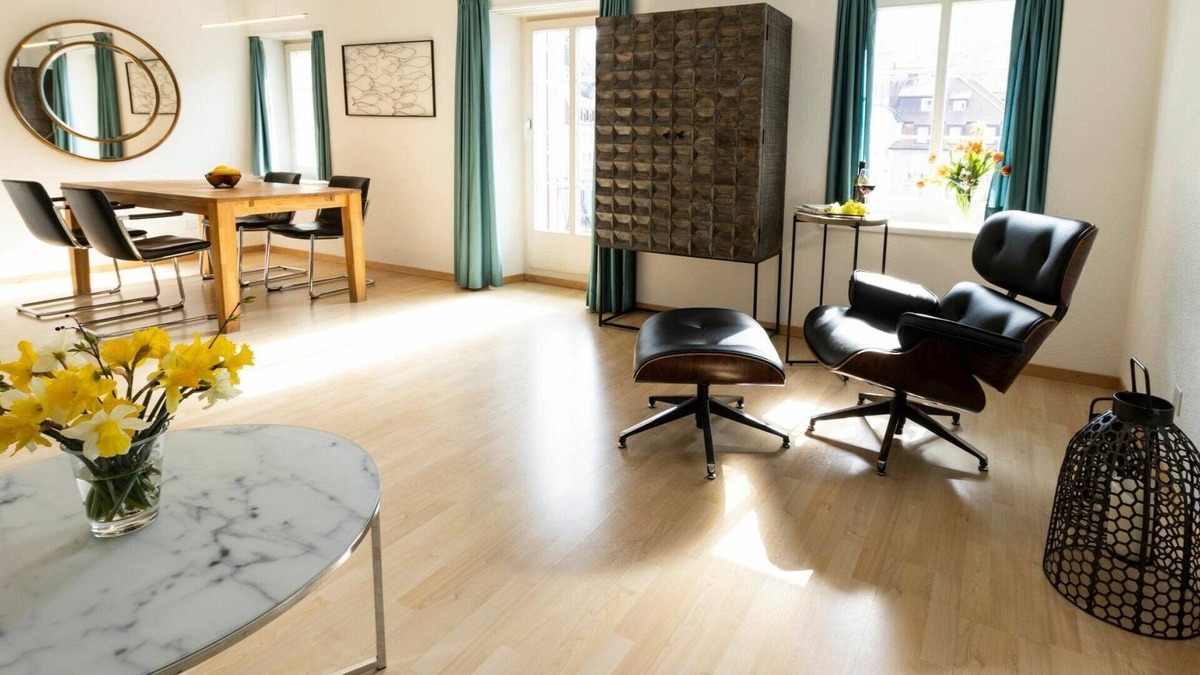 Nussbaumen Apartment | Cosy apartment for 4 guests with WIFI, TV, balcony and pets allowed