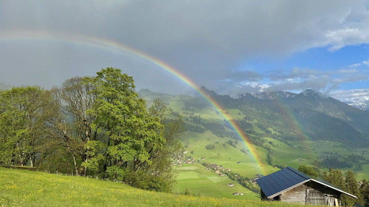 Zweisimmen Apartment | Cosy apartment for 3 guests with WIFI, balcony and pets allowed