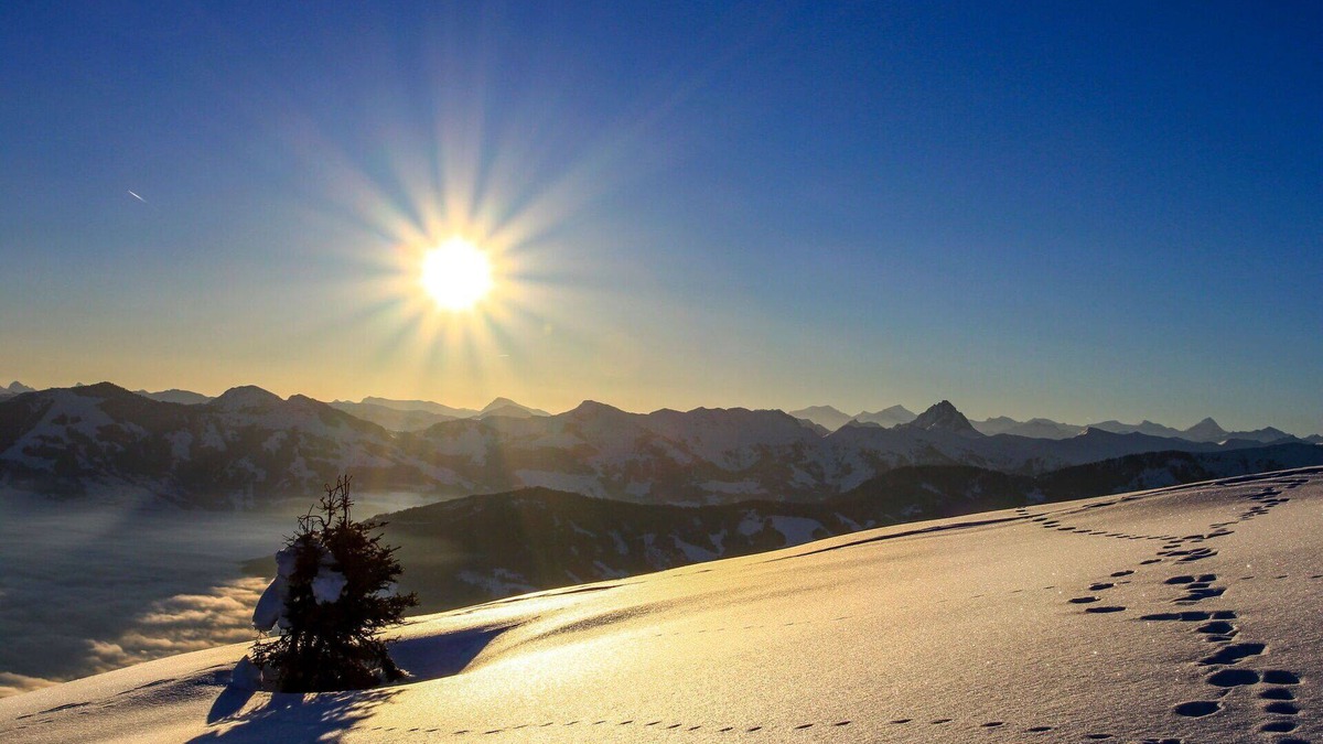 Oberau Wildschonau Apartment | Cosy apartment for 5 people with WIFI, TV and balcony