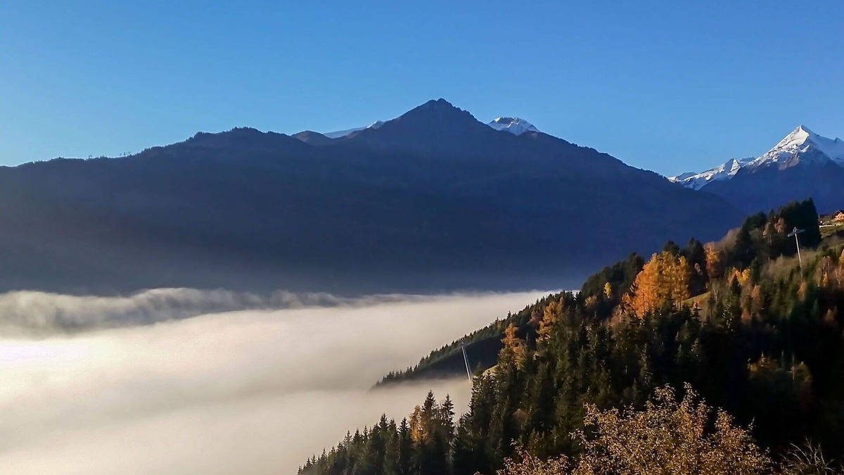 Thumersbach Apartment | Cosy apartment for 3 people with WIFI, TV, terrace and pets allowed