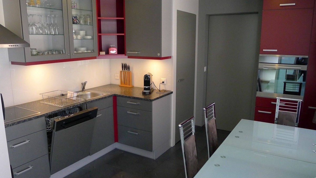 Horgen District Apartment | Cosy apartment for 4 people with WIFI, TV, terrace, pets allowed, panoramic view and parking