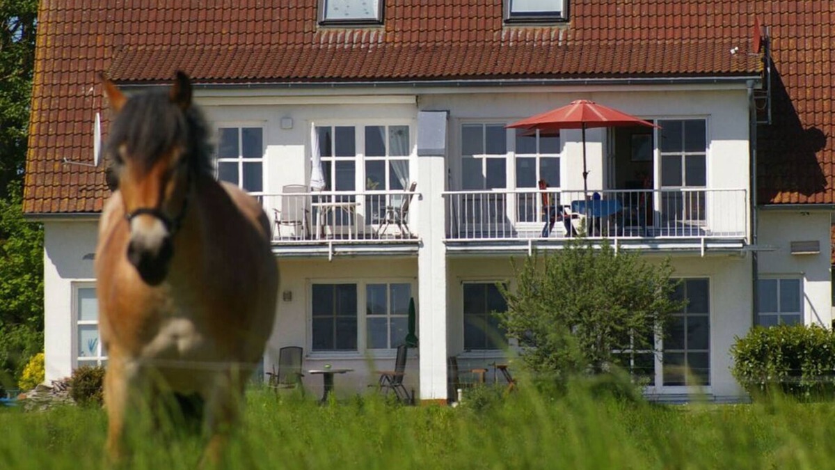 Zudar Apartment | Cosy apartment in Garz