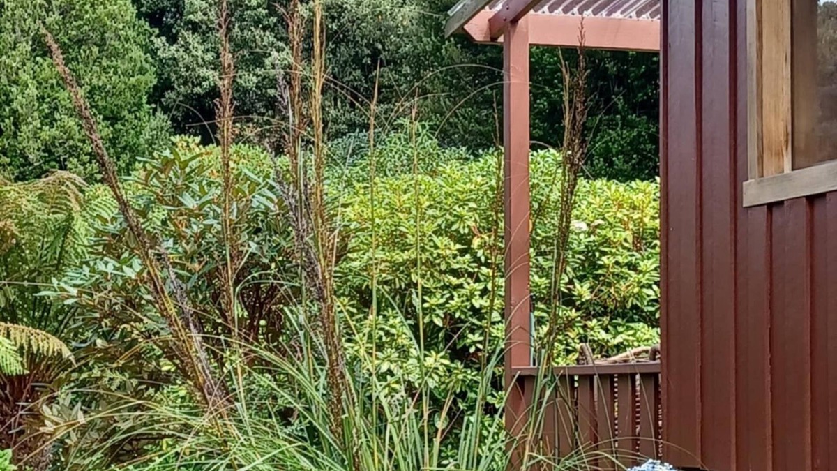 Judbury Cabin | Cosy Cabin in the Huon Valley, Judbury Tasmania