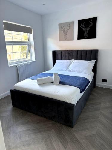 Colchester House | Cosy Central Colchester Home by Castle Park