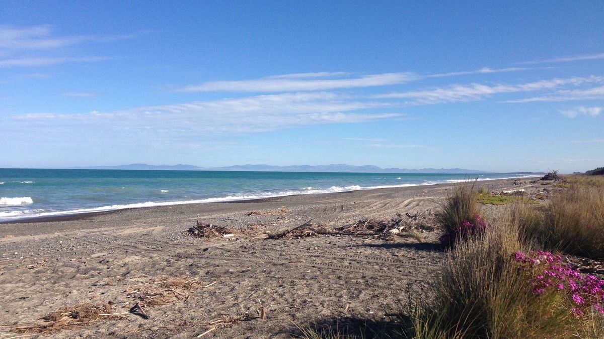 Leithfield House | Cosy country cottage at Leithfield Beach, child friendly