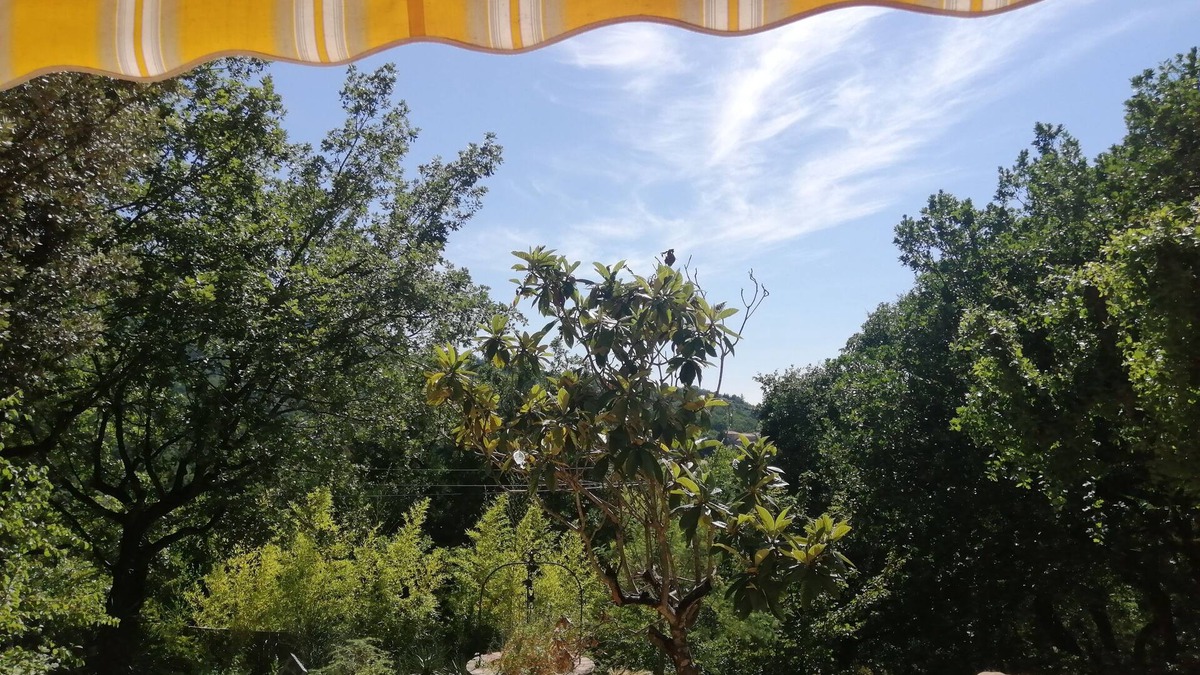 Les Latards House | Cosy house, nestled in nature, 5 minutes from the center