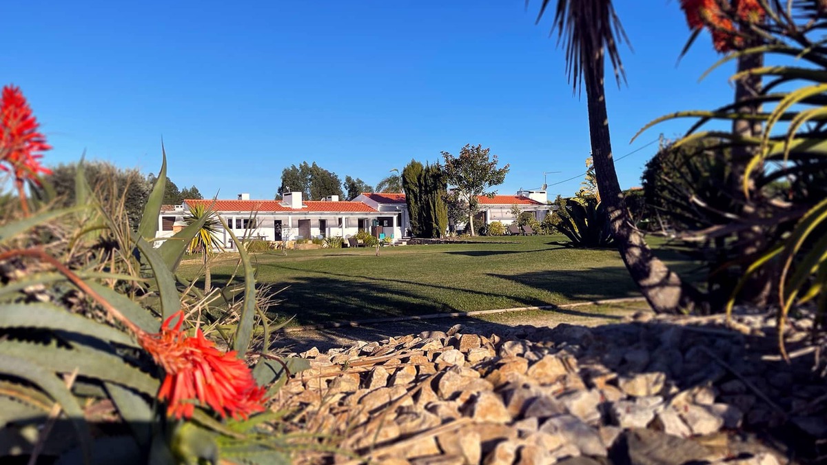 Sao Teotonio House | Cosy one Bedroom House 5 minutes from Zambujeira do Mar - House 3