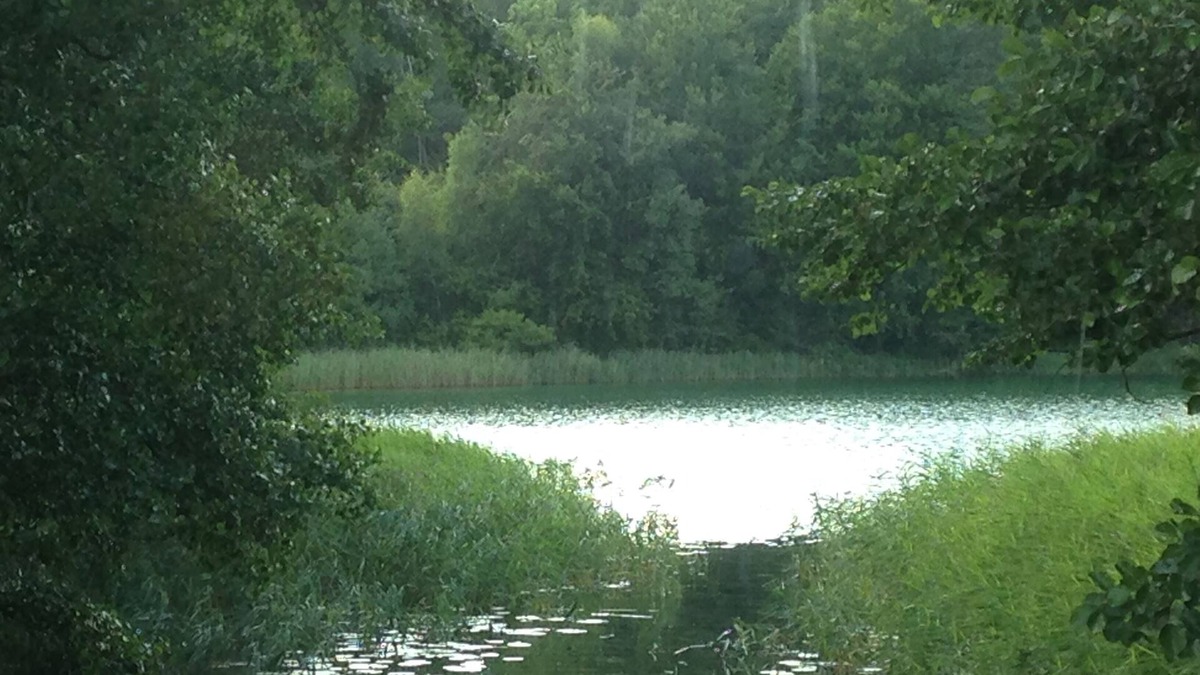 Densow House | Cottage at the horse farm, 2 bedrooms