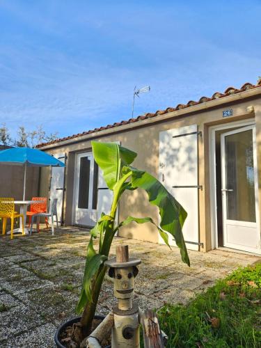 Mareuil-Sur-Lay-Dissais House | Cottage Confort 1 Ch