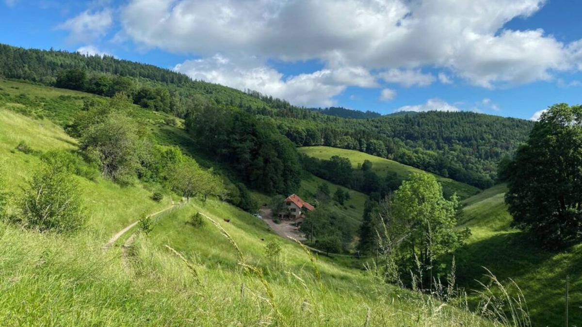 Sainte-Marie-aux-Mines House | Cottage at the farm of Val de Bruinen - Sauna and Jacuzzi 15