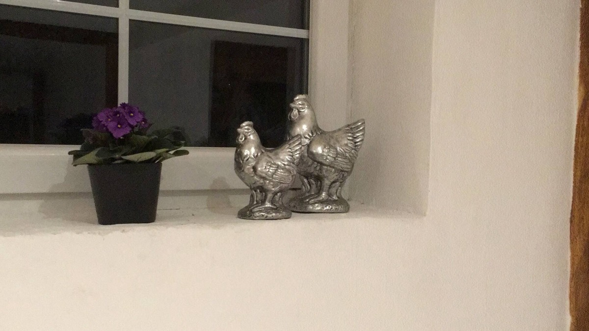 Zulpich House | Cottage Hühnerstall