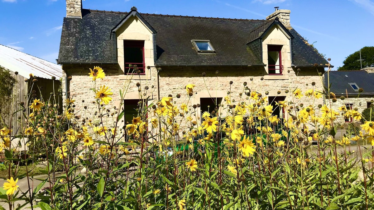 Leuhan House | cottage in the countryside with its view of the black mountains