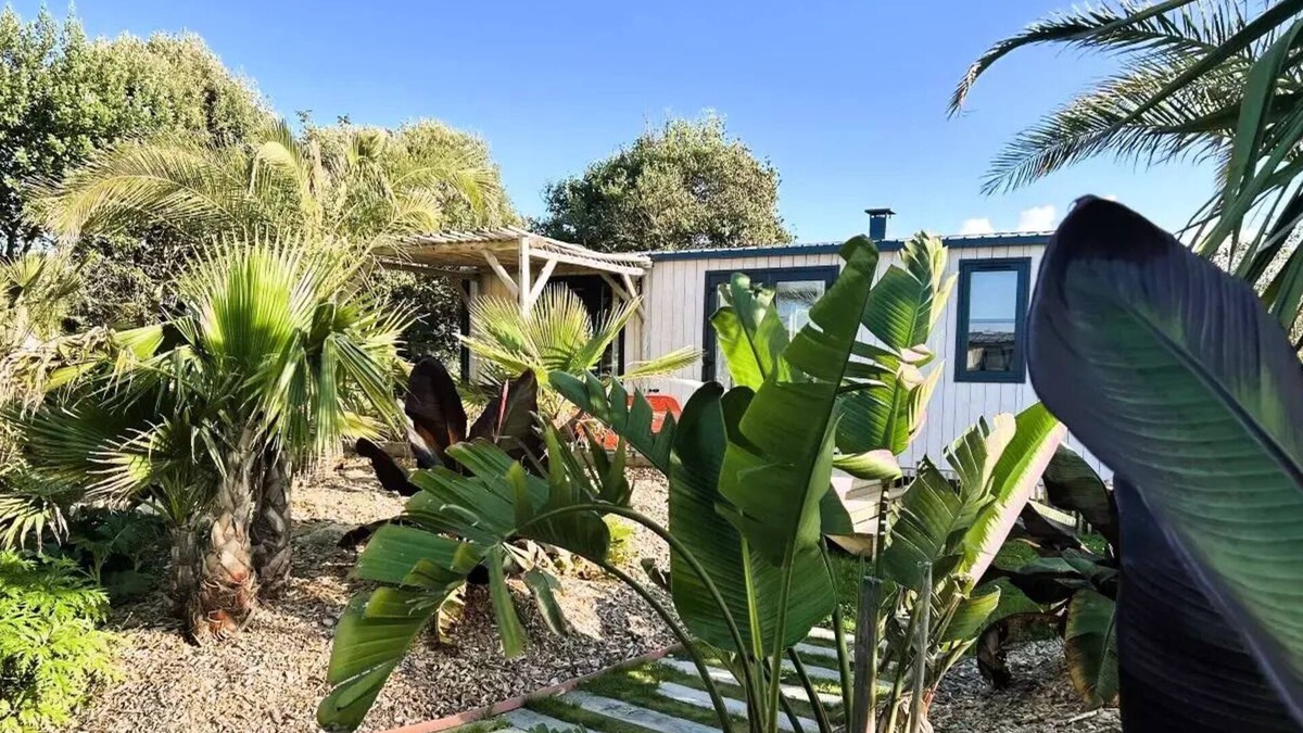 Brignogan-Plage House | Cottage Jardin des Exotique - SPA - 2 Bedrooms 4 people