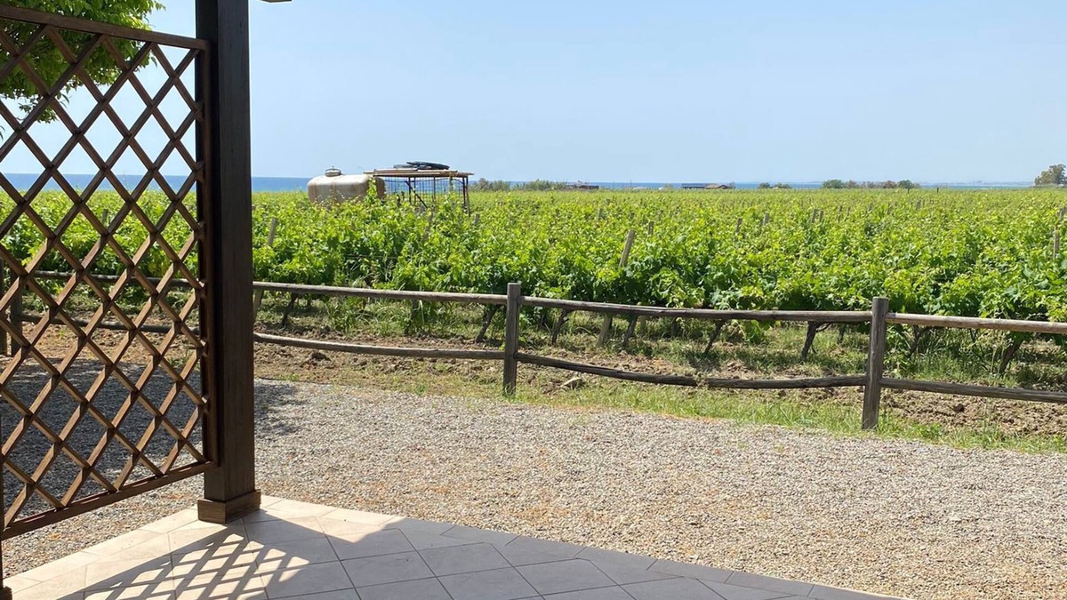 Ciro Marina House | cottage nestled in a vineyard on the sea