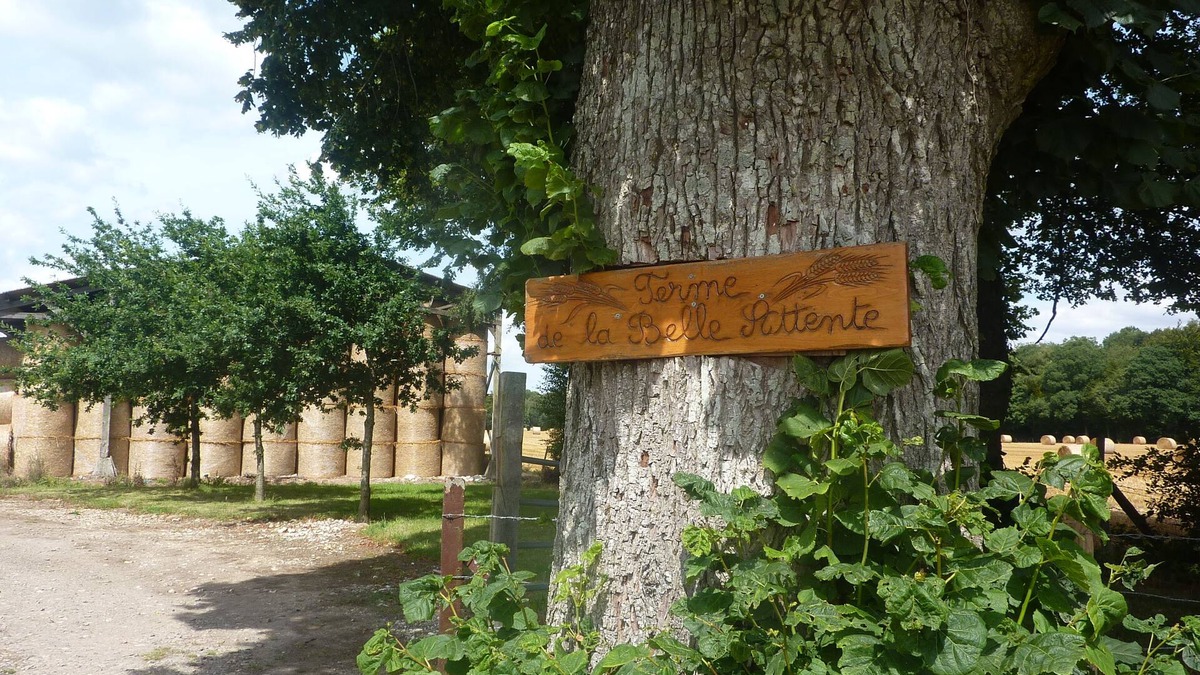 Aubeguimont House | Cottage of the beautiful wait