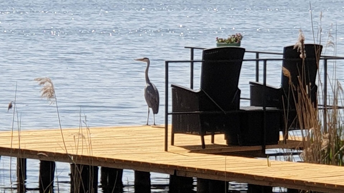 Zernsdorf House | Cottage with terrace directly on the Krüpelsee