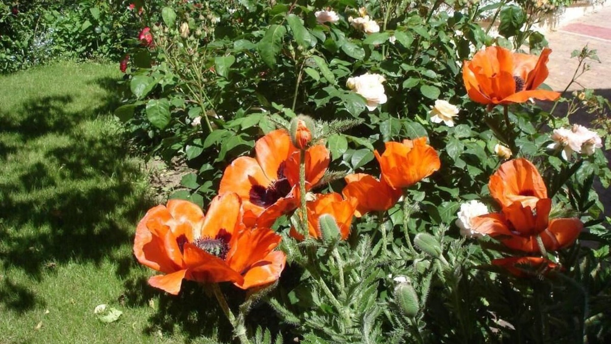 Le Coudray Bed & Breakfast | Couette et Cafe creme