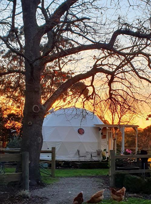 Yarragon Other | Counting Stars