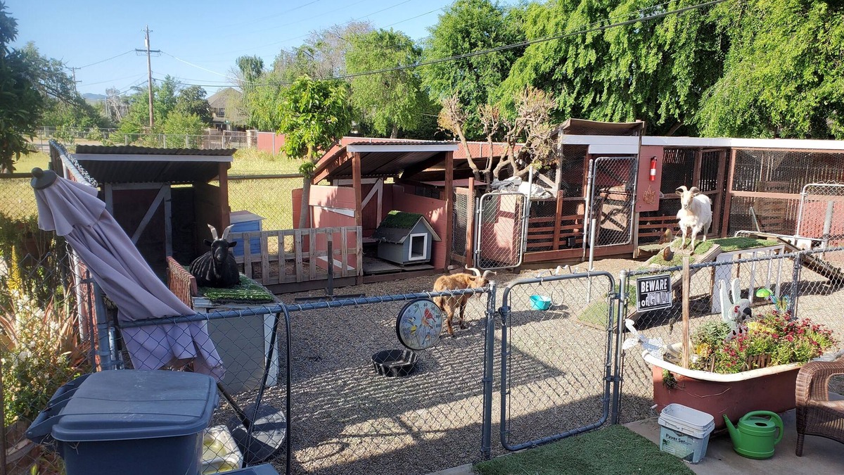 Livermore Bed & Breakfast | Country 2-bedroom bed & breakfast/ebikes in delightful Livermore Wine Country