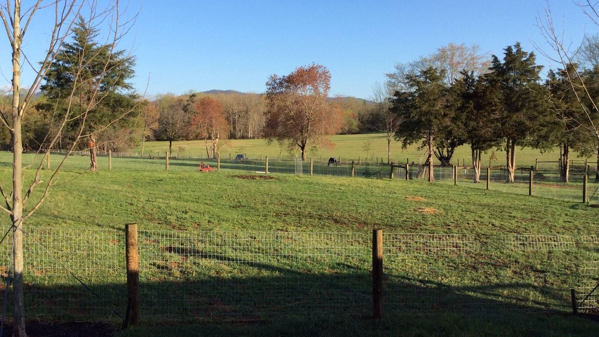 Free Union Cottage | Country Bungalow close to Charlottesville, Wineries & Breweries