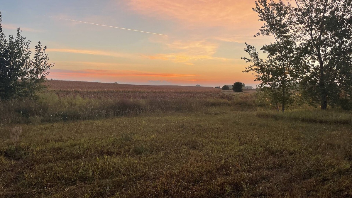Swift County Cabin | Country Cabin on 40 acres with a Hot Tub! 2 queen & 2 twin beds all on one level