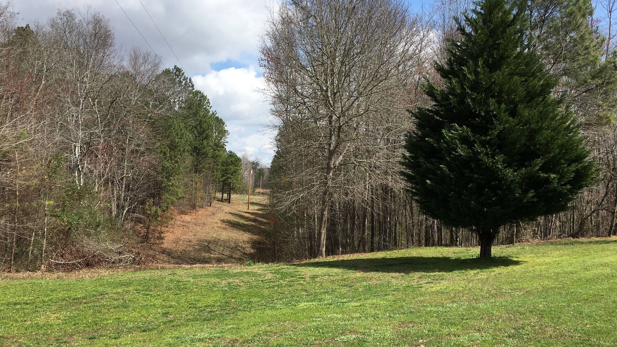 Collinsville Cabin | Country Cabin.We have cleaned the cabin top to bottom! Get out of the city!
