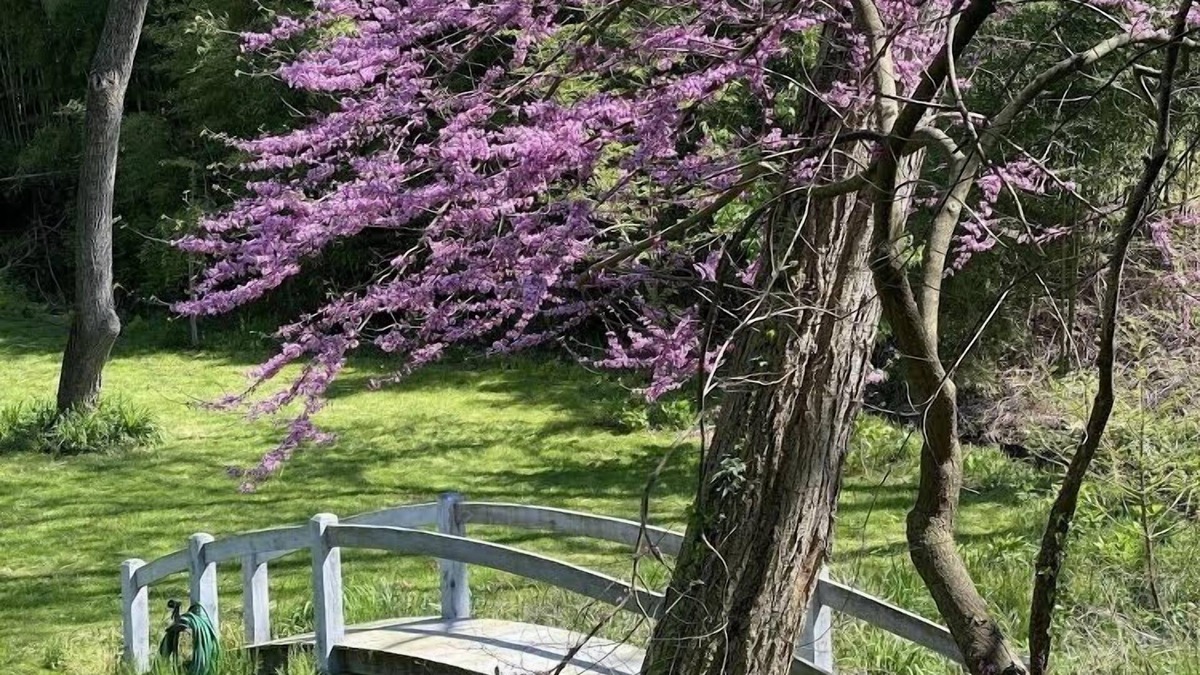 Chestertown House | Country Estate in Historic District