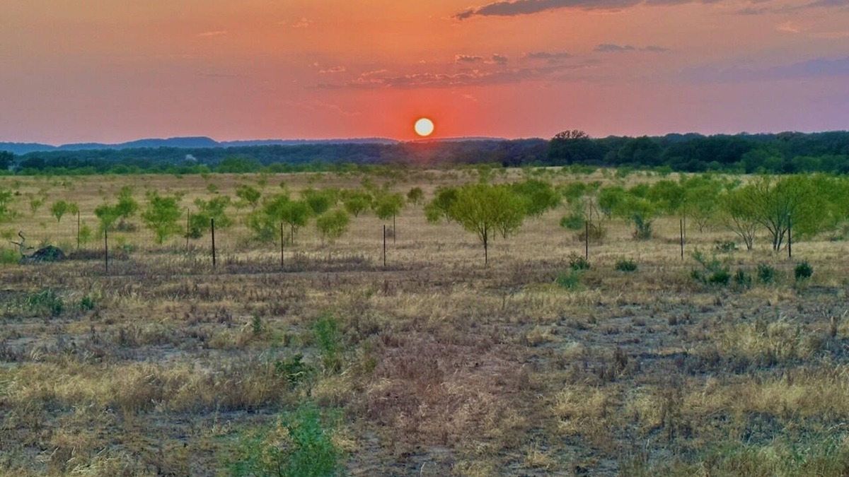 Fredericksburg House | Country Getaway.Sounds of nature and stargazers dream Rejuvenate your mind &body