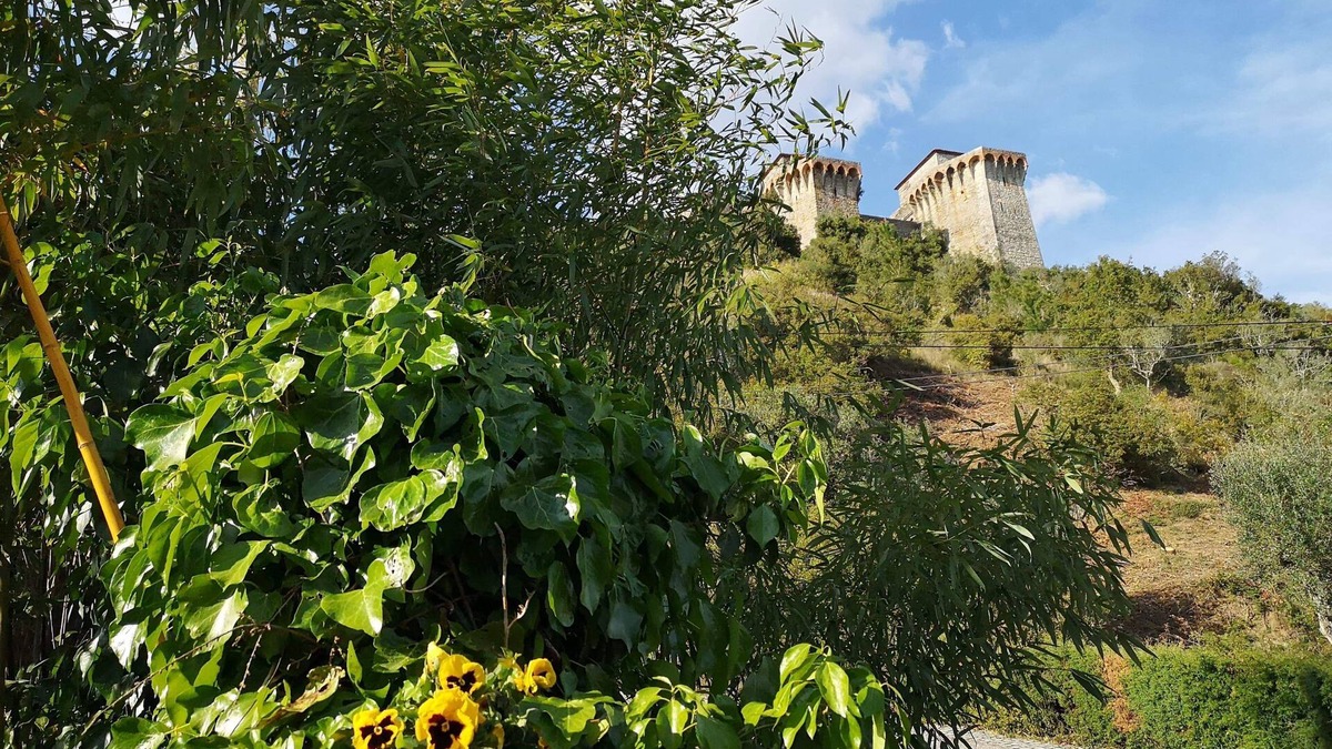 Nossa Senhora das Misericordias Cottage | Country house Ourém